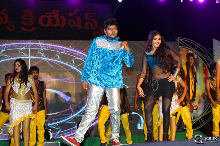 Loukyam-Movie-Audio-Success-Function